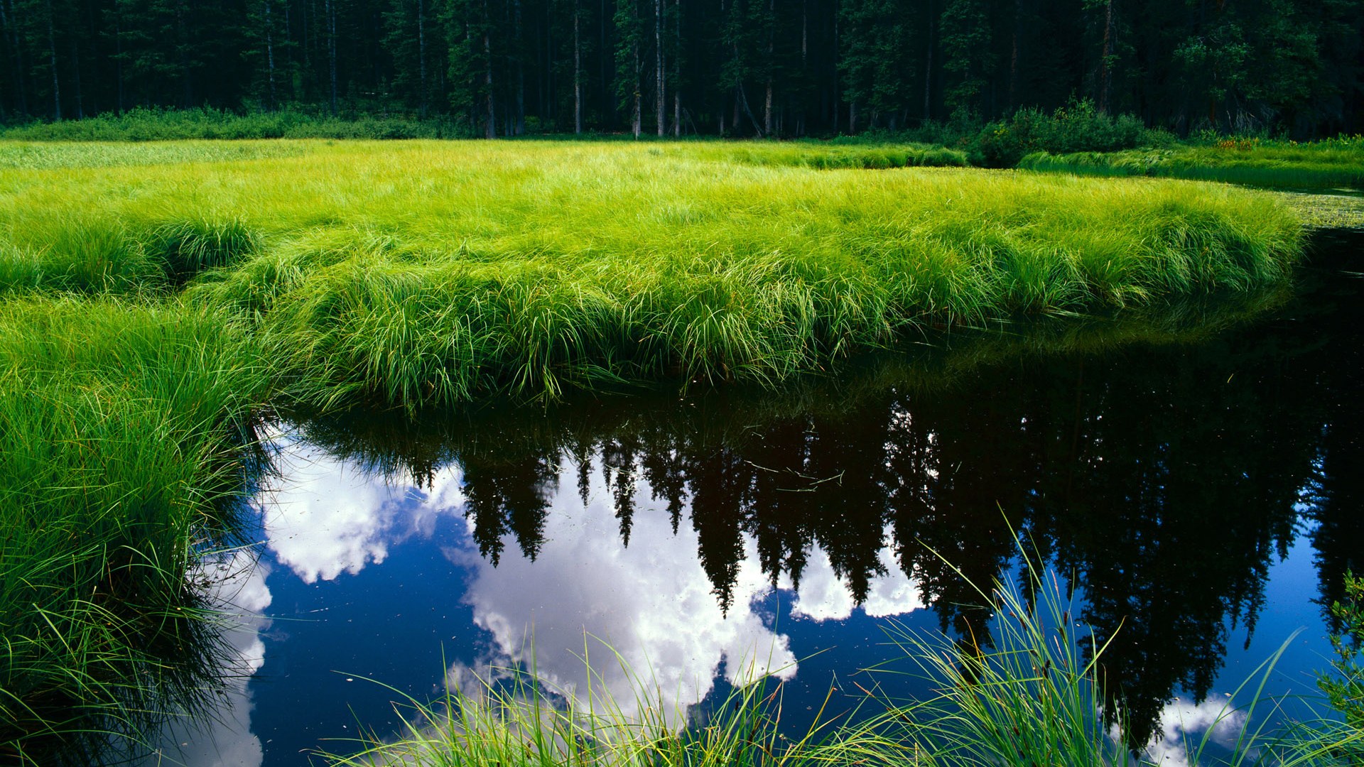 详细阅读:星空体育app-格林斯比球员配合默契,鱼港军团冲刺保级,格林斯比足球俱乐部 星空体育app-格林斯比球员配合默契,鱼港军团冲刺保级,格林斯比足球俱乐部