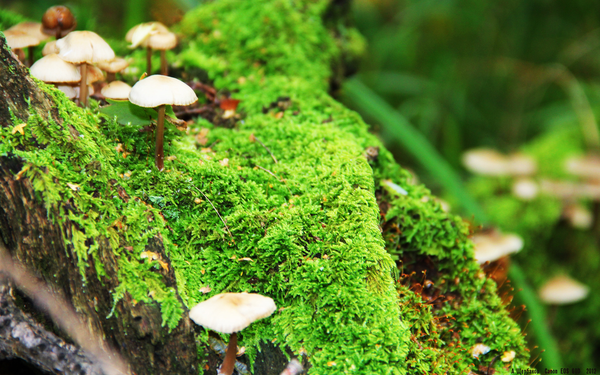 详细阅读:星空体育官方入口-比利时球员关注移籍风波,或将离队,比利时 球员 星空体育官方入口-比利时球员关注移籍风波,或将离队,比利时 球员