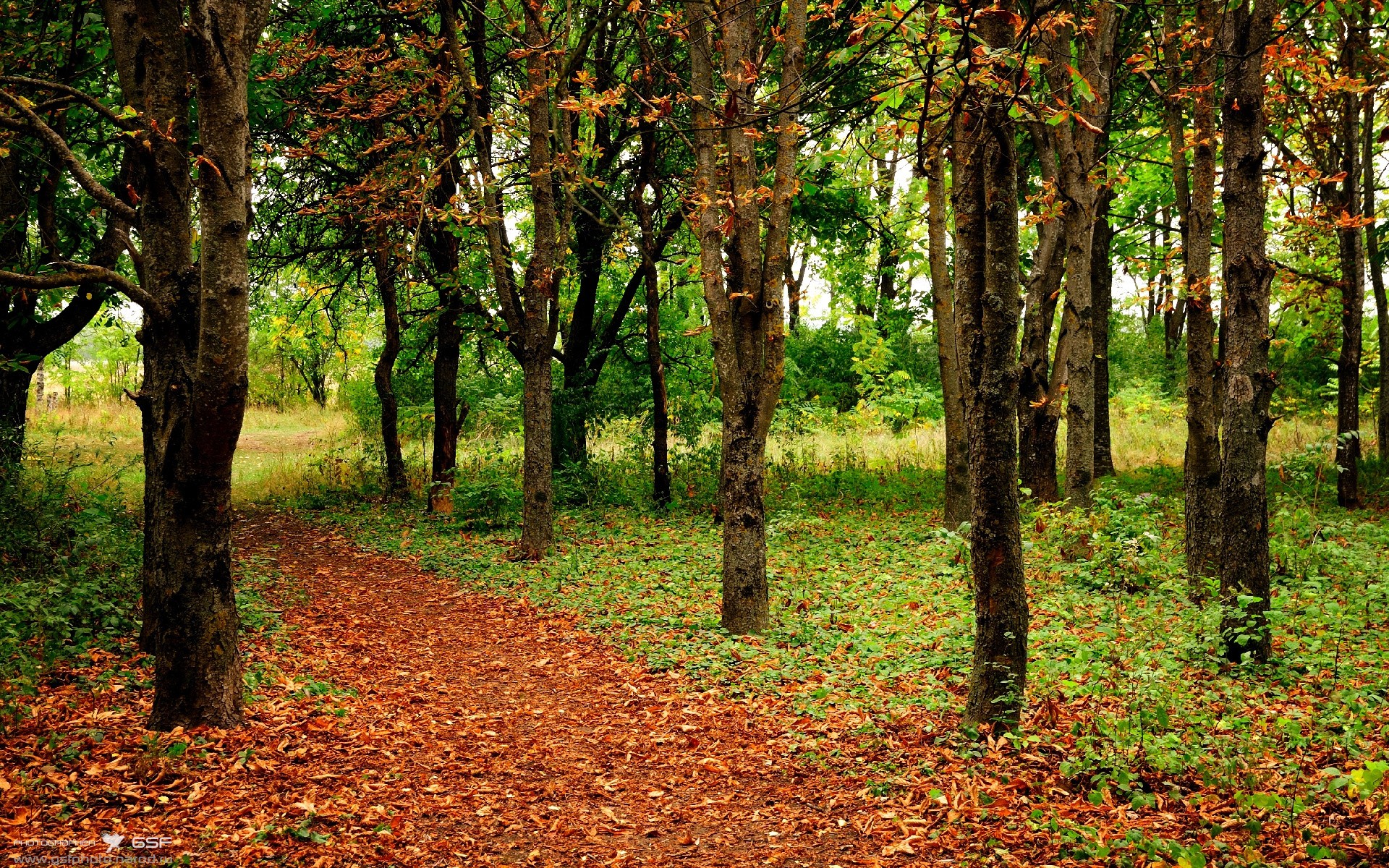 星空体育官网下载-瓜达拉哈拉主场迎战卫冕冠军，挑战强敌，瓜达拉哈拉是哪个国家