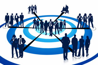 STAR SPORTS下载-中国篮球职业俱乐部青训体系建设与管理模式研究,职业篮球青年队