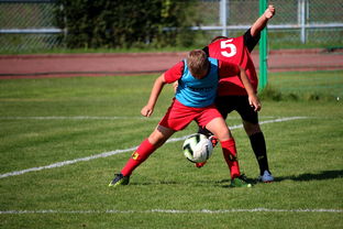 星空体育网页-中国篮球职业联赛俱乐部运营模式创新及管理经验分享，篮球俱乐部运营与管理