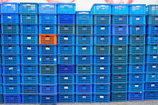 星空体育在线官网-体育教学辅助设备创新应用研究,体育教学辅助设备创新应用研究方向