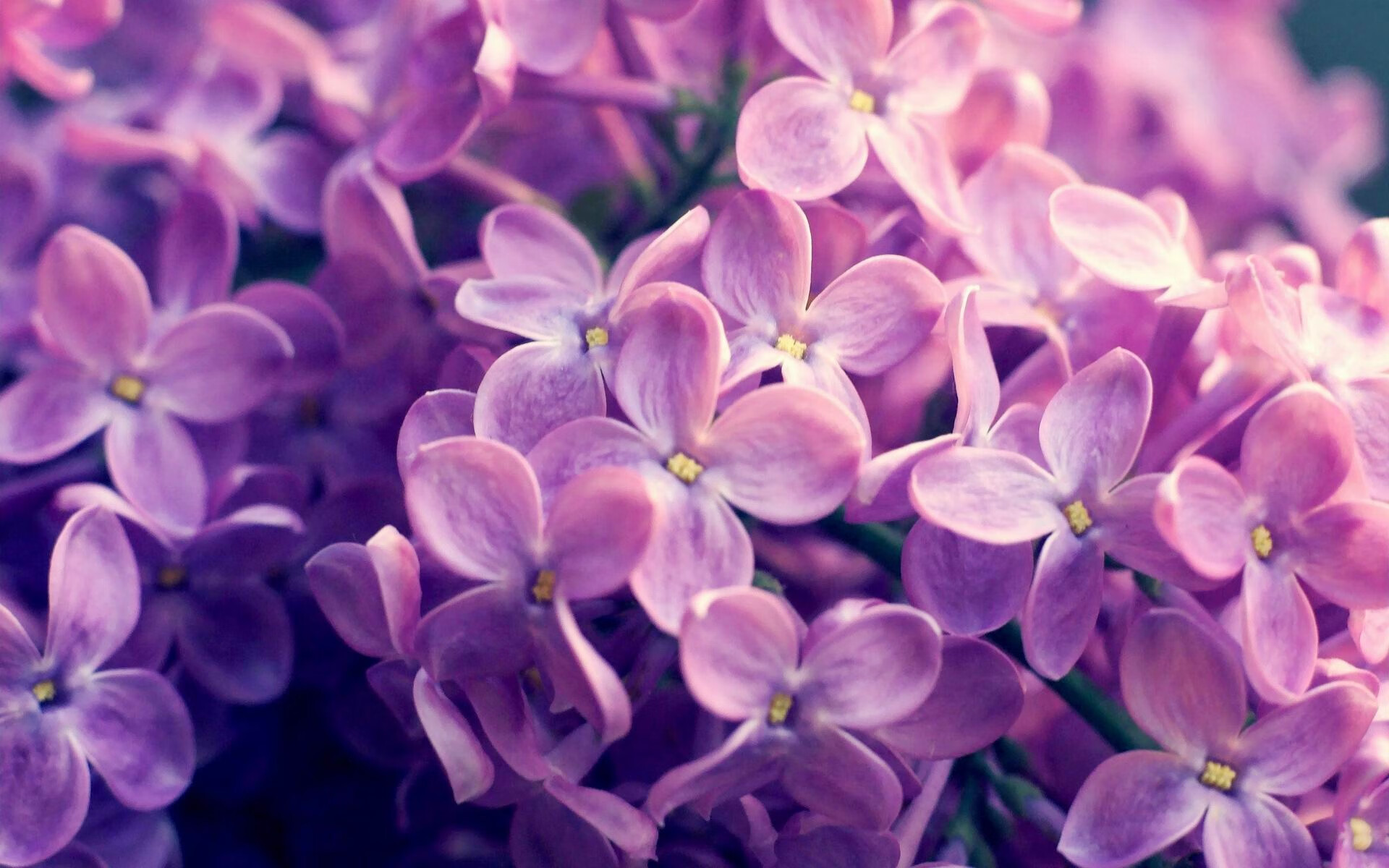 星空体育-斯洛伐克男篮在欧洲大赛中拼搏到底，追梦奥运未来在望，斯洛伐克队欧洲杯大名单