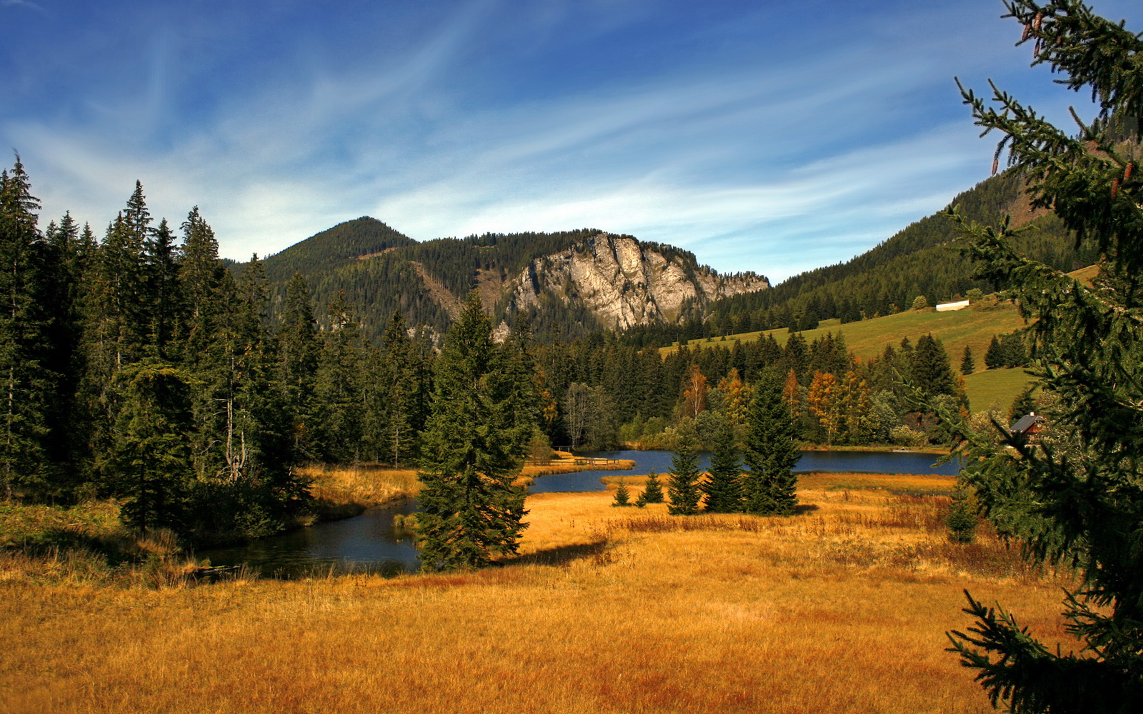 星空体育在线官网-陈艺文谈比赛心得引网友共鸣,陈艺文资料